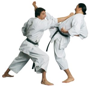 Cách học võ karate và những động tác cơ bản