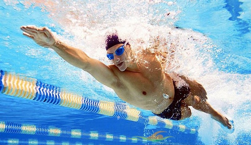 Kết quả hình ảnh cho 4 yếu tố giúp bạn bơi trườn sấp tốt hơn