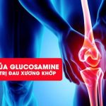 Glucosamine là gì? Vai trò của Glucosamine trong điều trị thoái hóa xương khớp