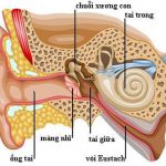 Nguyên nhân và triệu chứng viêm tai giữa
