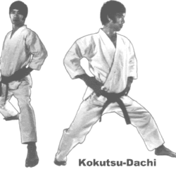 Các cấp bậc đai của Karate cho người mới bắt đầu