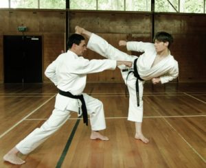 Mục tiêu của các đòn tay Karate