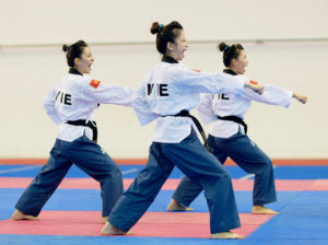 07062015-nguoi-moi-hoc-vo-nen-chon-taekwondo3