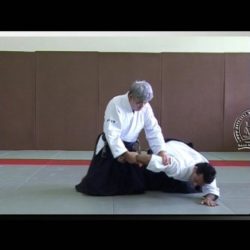 Kỹ thuật đánh võ Aikido khi bị chống chế bằng dao