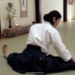 Kỹ thuật đánh võ Aikido tự vệ chống sàm sỡ