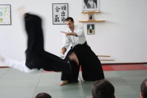 ranko-ceric-aikido-systema