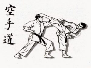 Những môn võ nên học đó là bạn không thể bỏ qua đó là Karatedo