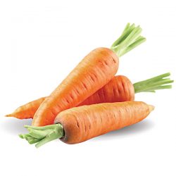 Cà rốt – vị thuốc chữa tiêu chảy hiệu quả ở trẻ em