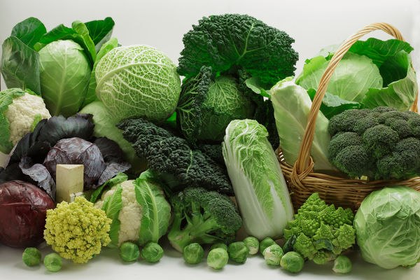 Rau cải chứa nhiều vitamin và khoáng chất mang lại nhiều lợi ích sức khỏe cho phổi.