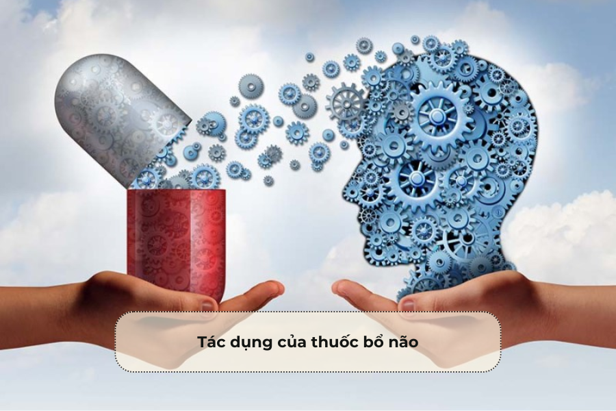 Tác dụng của thuốc bổ não